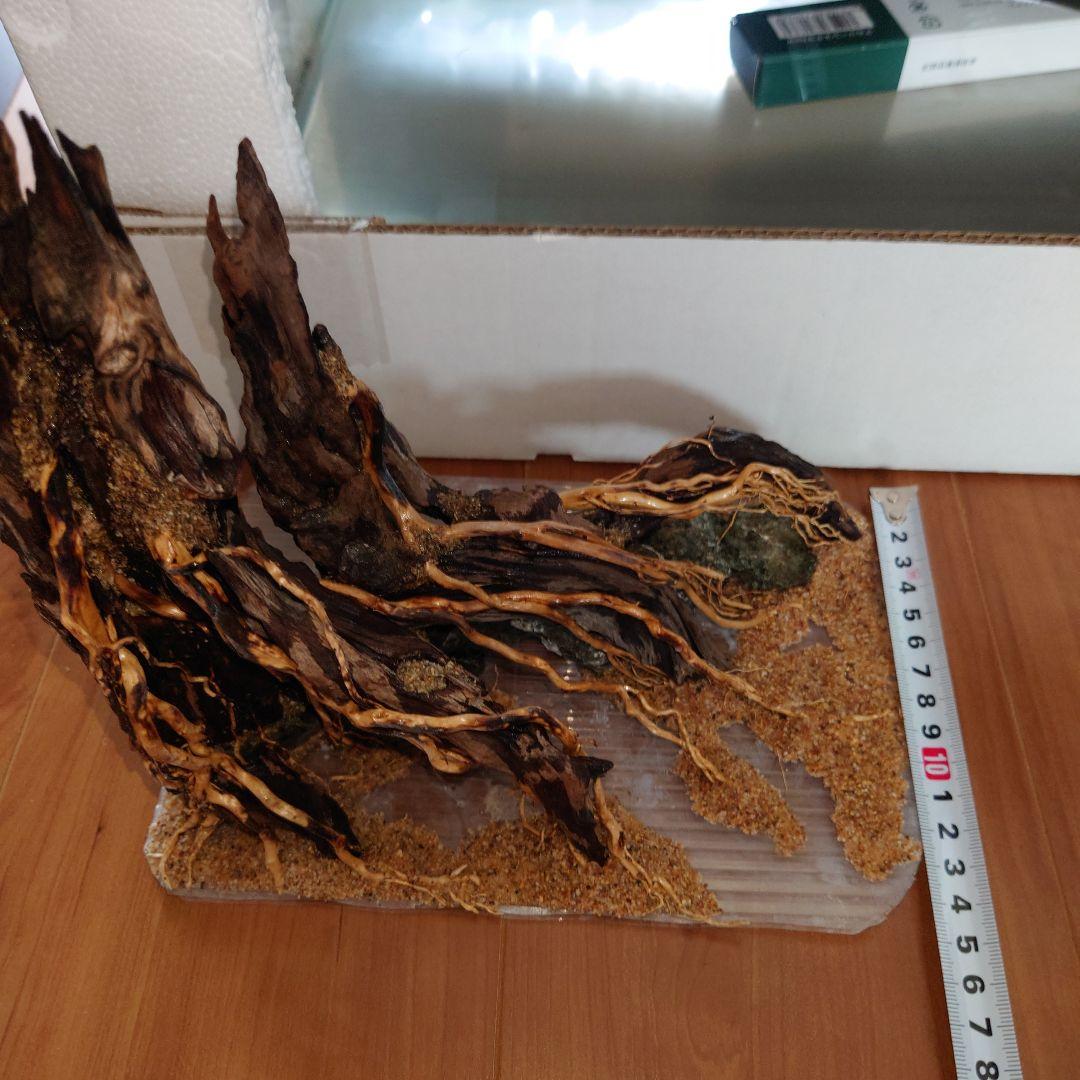 アクアシステム　クリスティプレーン90s　流木レイアウトセット　おまけ付き