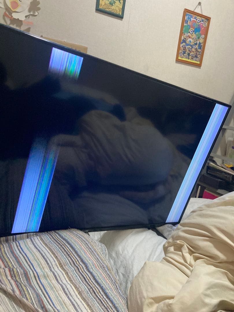 kiki様用ジャンクDME-4K50D　ディスプレイ　50インチ