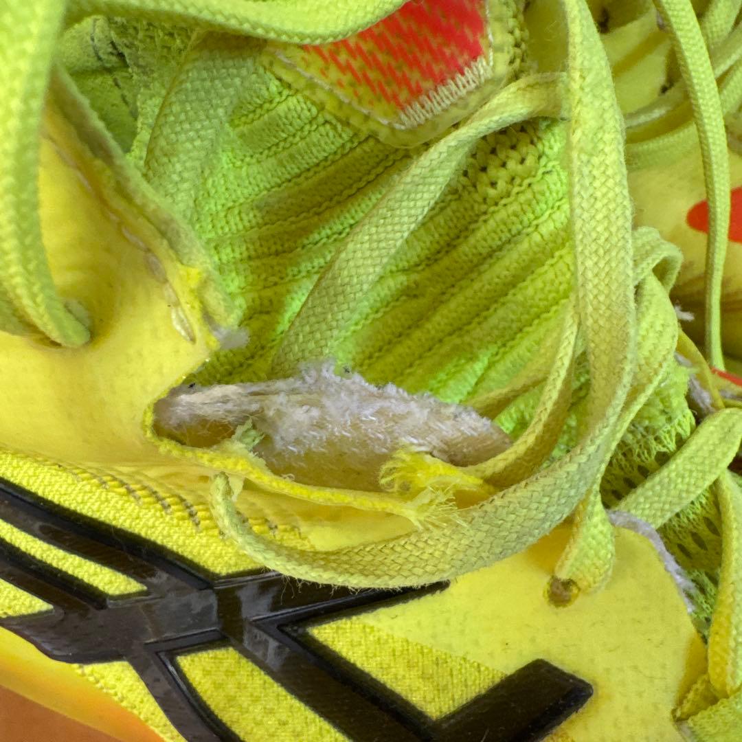 ASICS RISE バレーボールシューズ