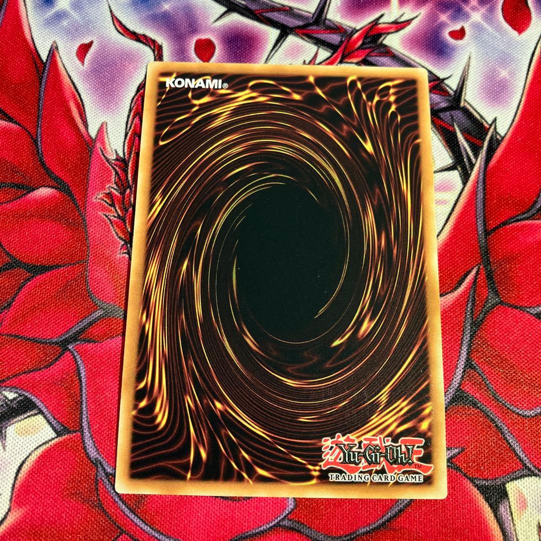 遊戯王　EU版　海外新規　エクシーズ　スターライトレア