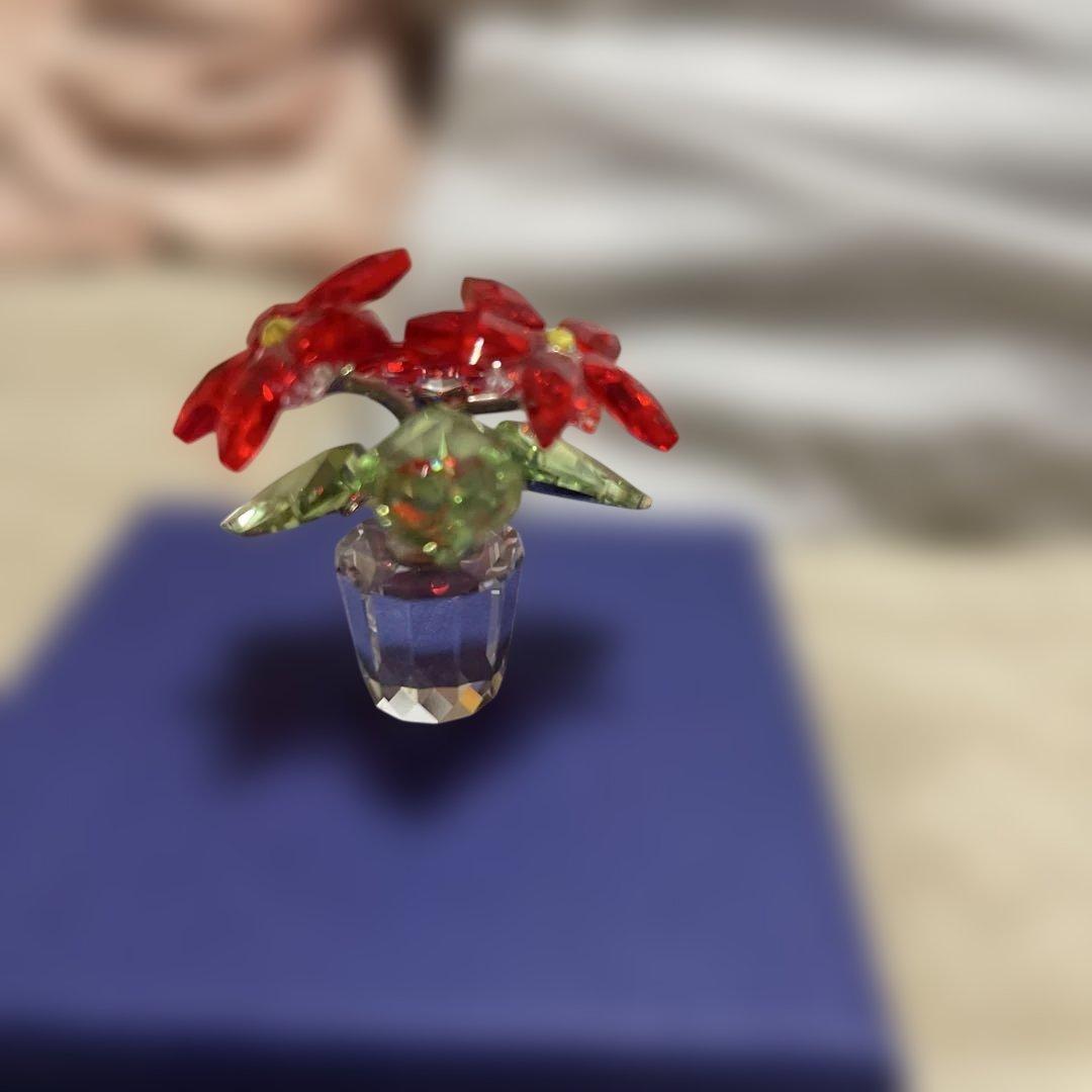 kenji.m　SWAROVSKI ポインセチア