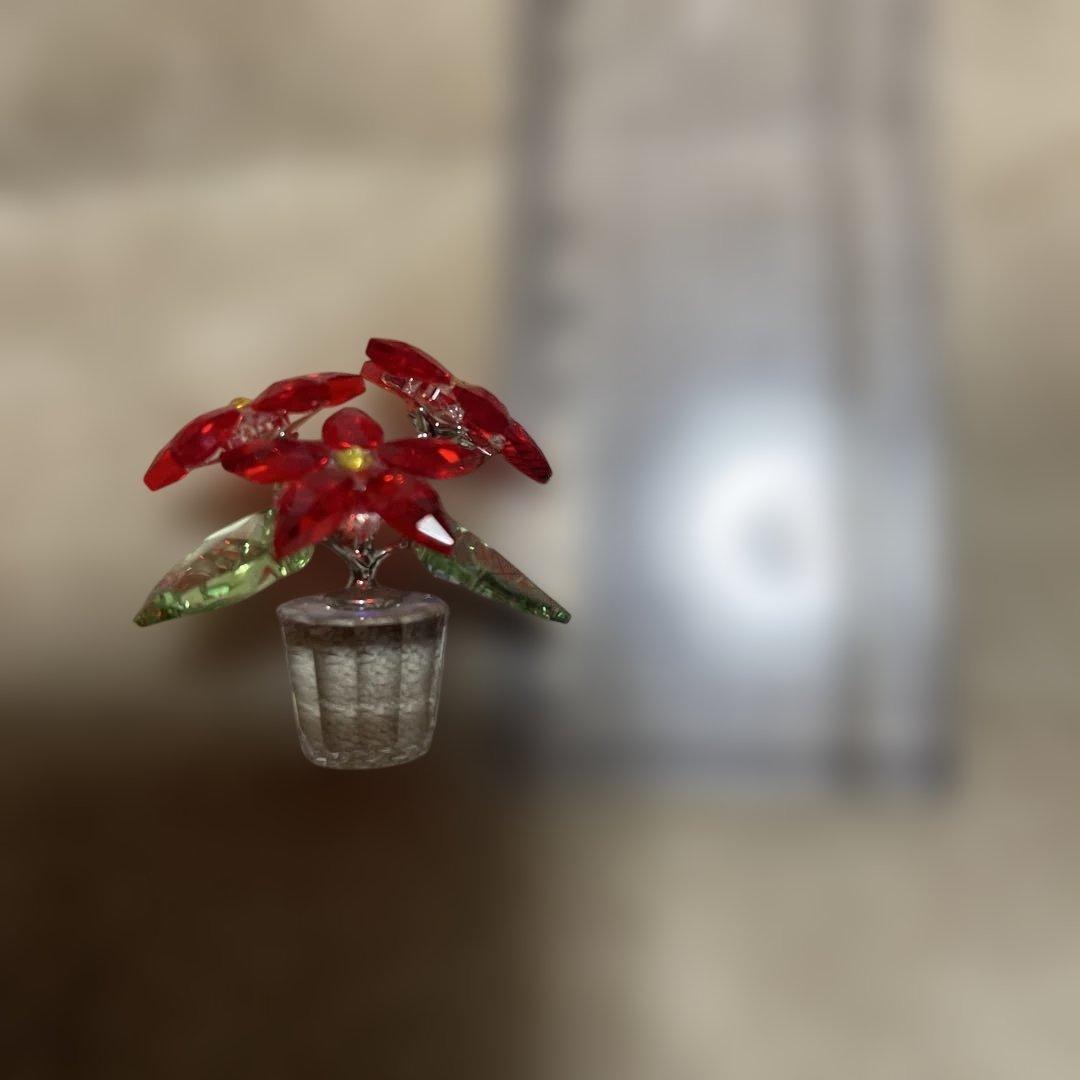 kenji.m　SWAROVSKI ポインセチア