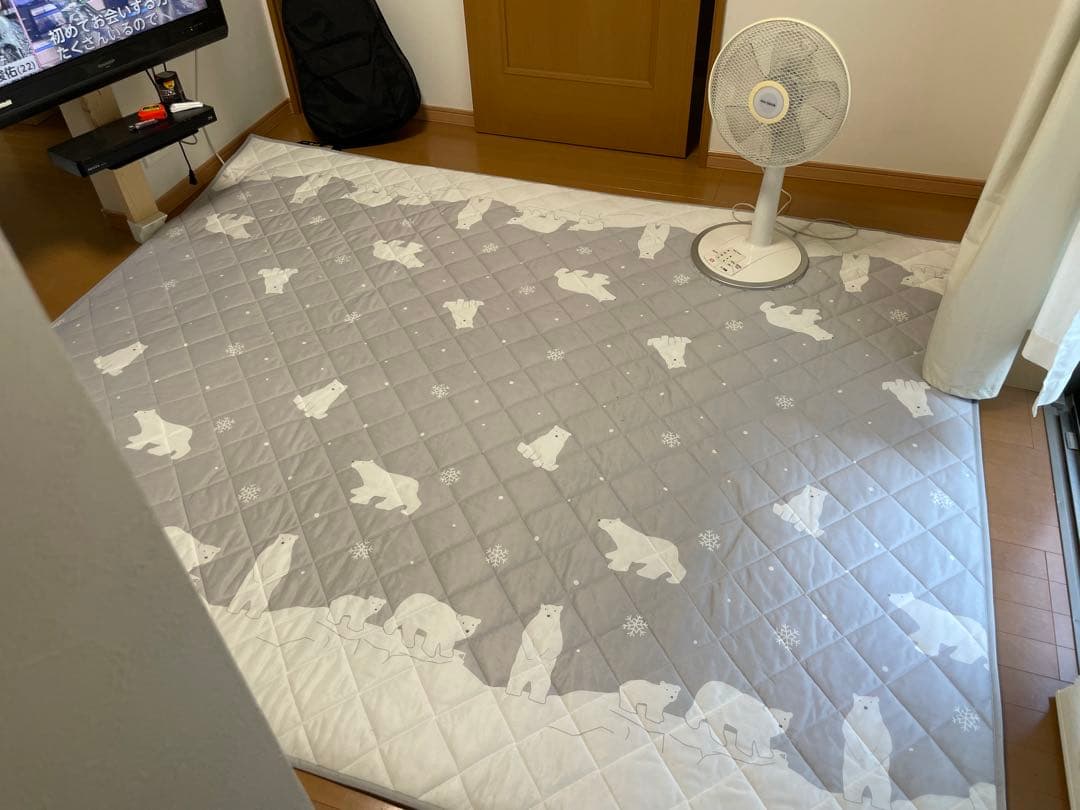 ホットカーペットと夏用冷んやりラグ