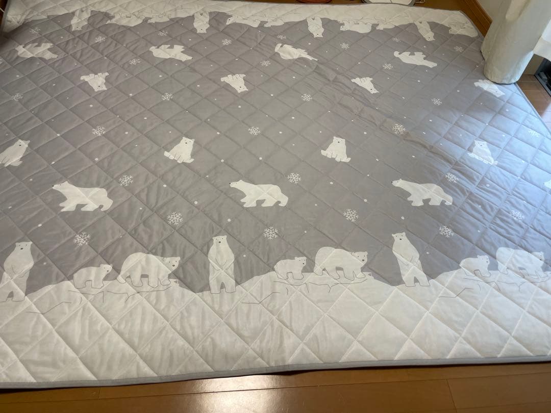 ホットカーペットと夏用冷んやりラグ