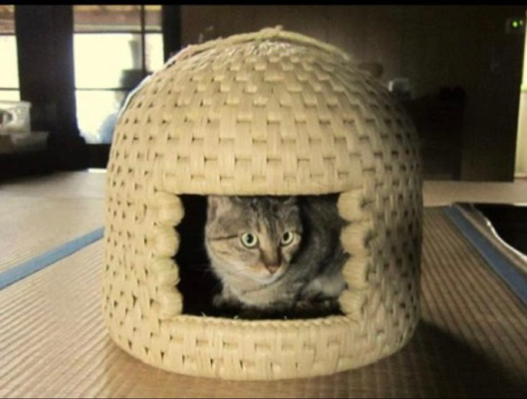 猫ちぐら天然素材ドーム型猫用ハウス本物