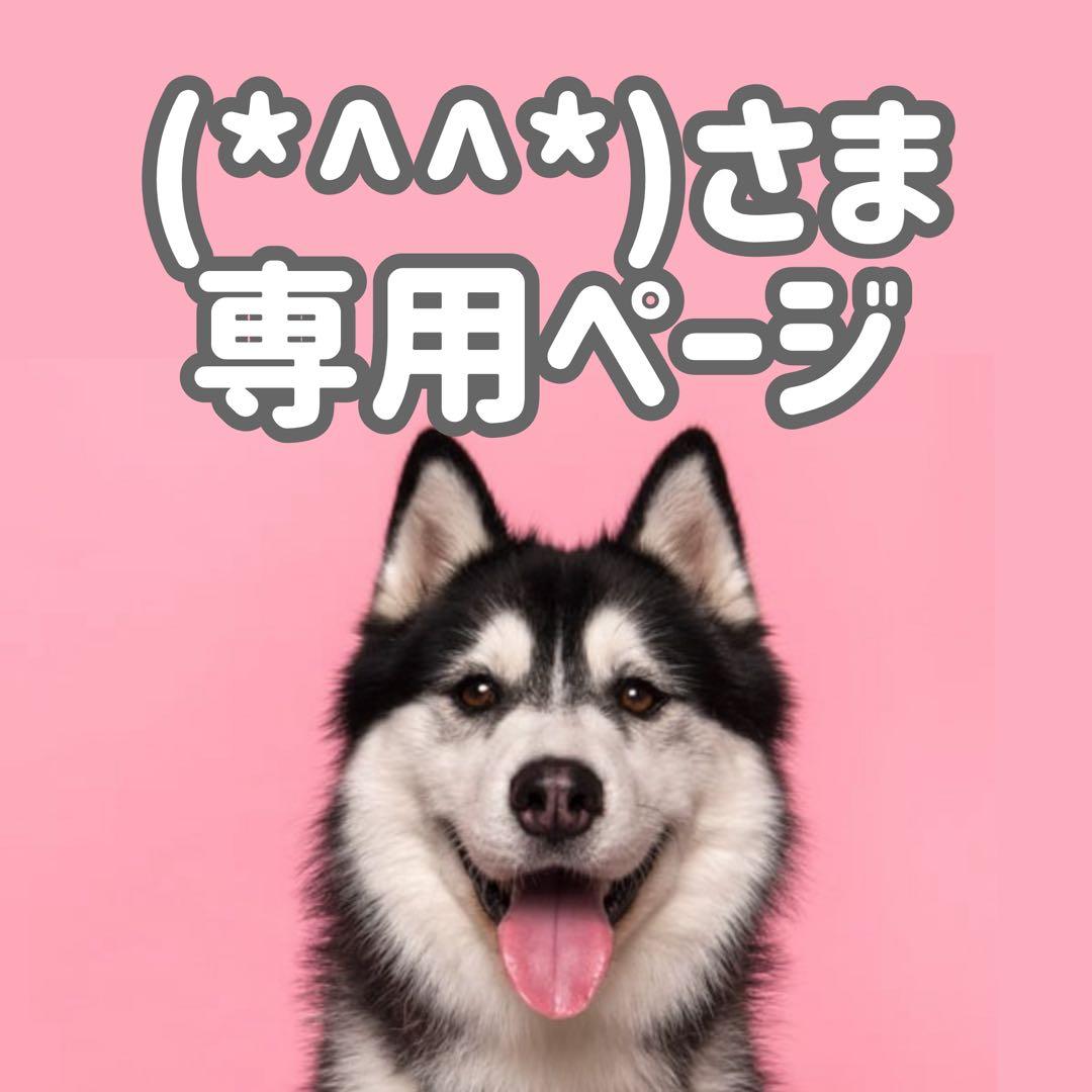 IS18中◯●(*^^*)ページ●◯