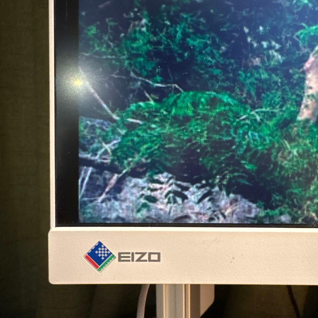 EIZO FlexScan EV3895 本体