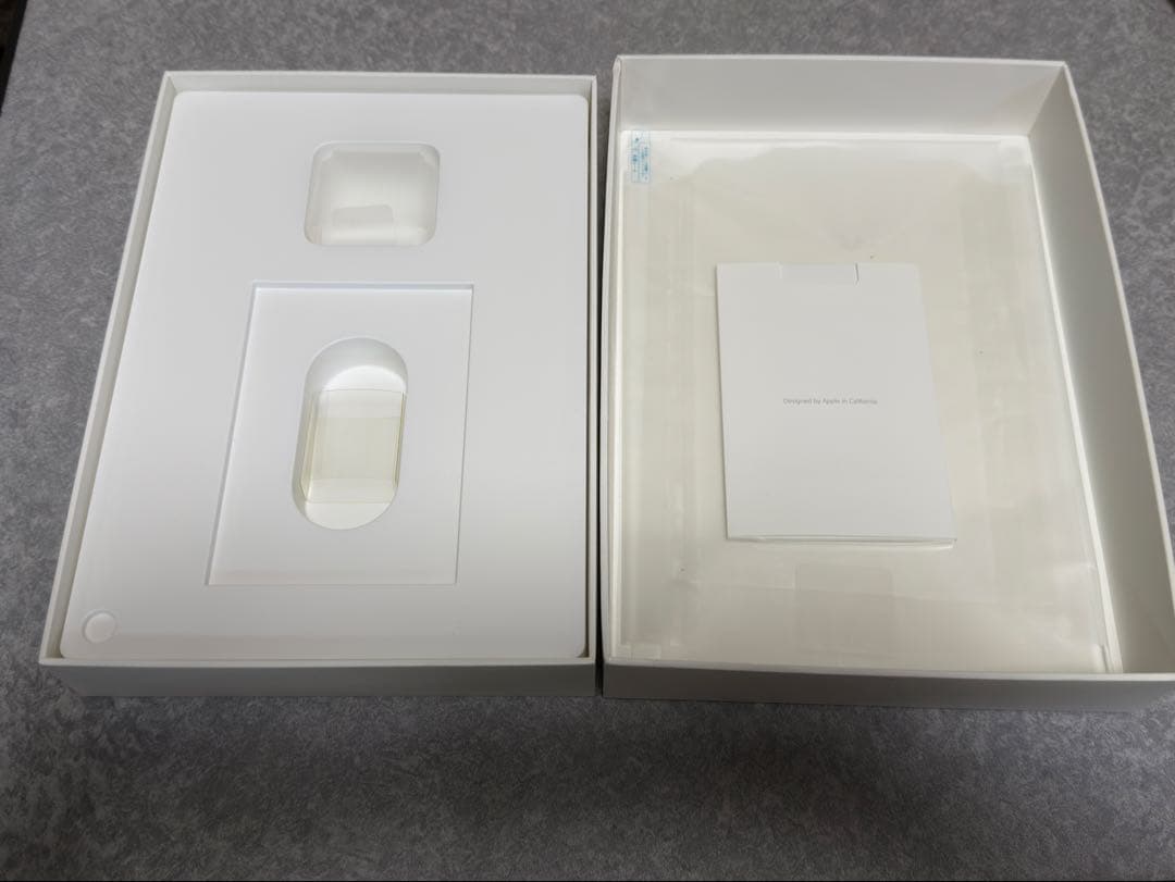 iPad Pro 9.7インチ 256GB (第1世代) セルラーモデル