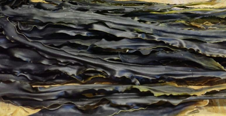 訳あり天然利尻昆布 ×６