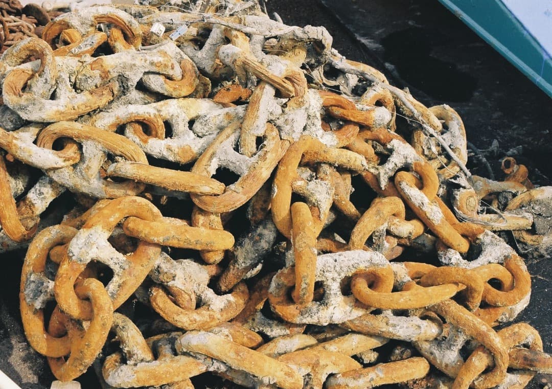 CANON AE-1 Program ／ NFD 50mm f1.4 セット