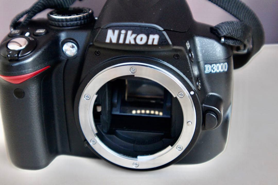 Nikon D3000 動作品　充電器付