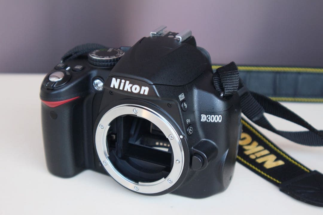 Nikon D3000 動作品　充電器付