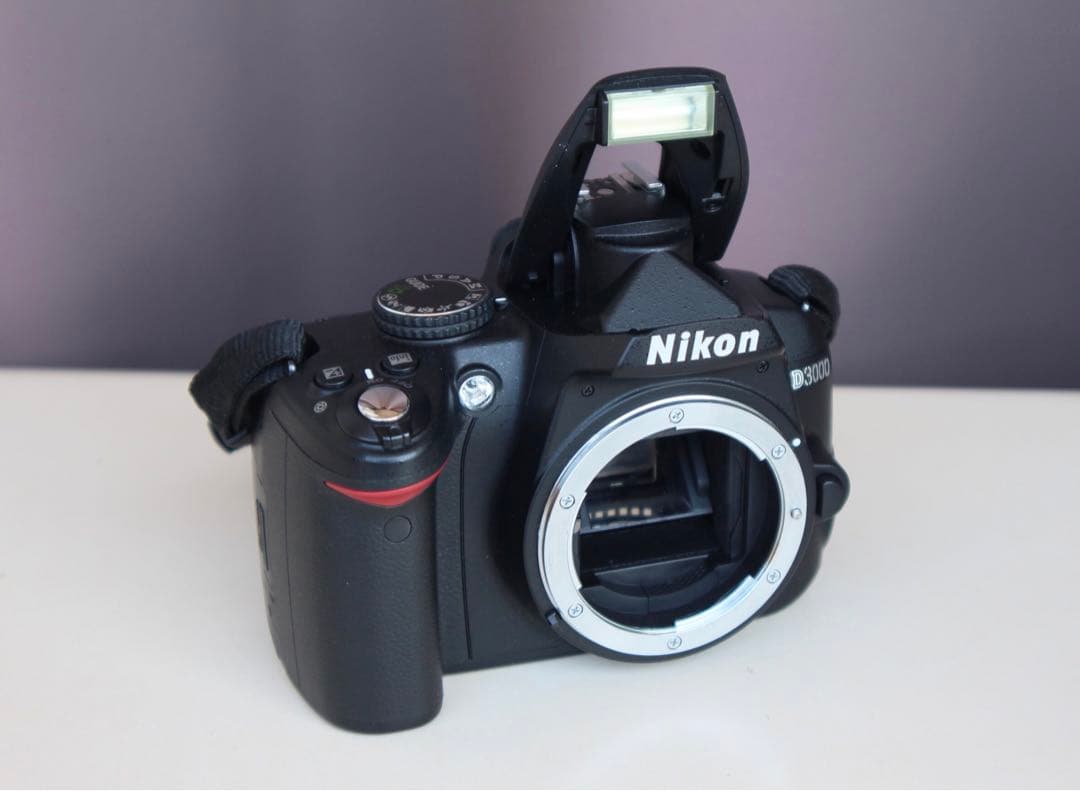 Nikon D3000 動作品　充電器付