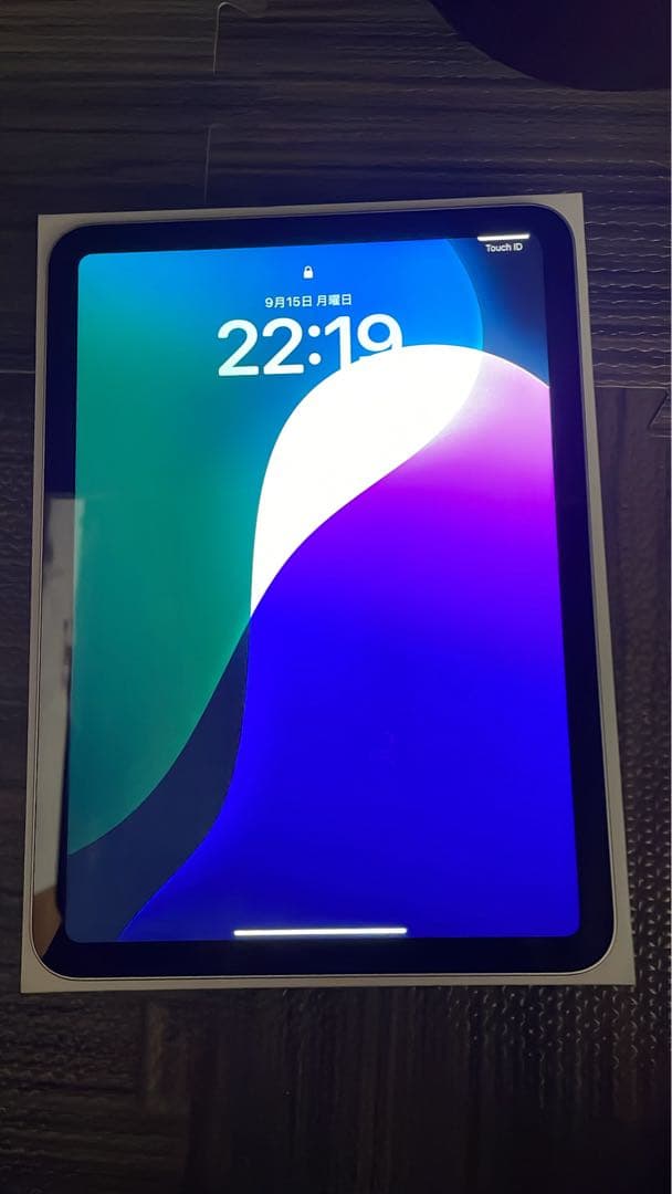 Apple iPadA16 本体