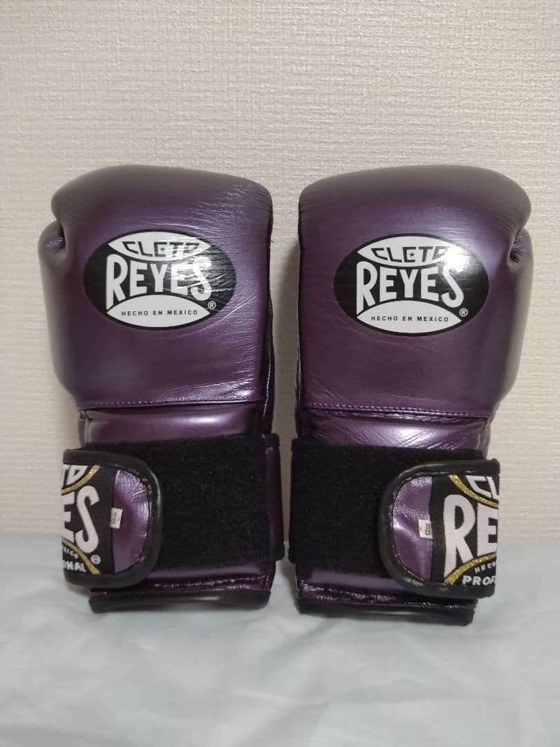 レイジェス ボクシンググローブ パープル 12オンス