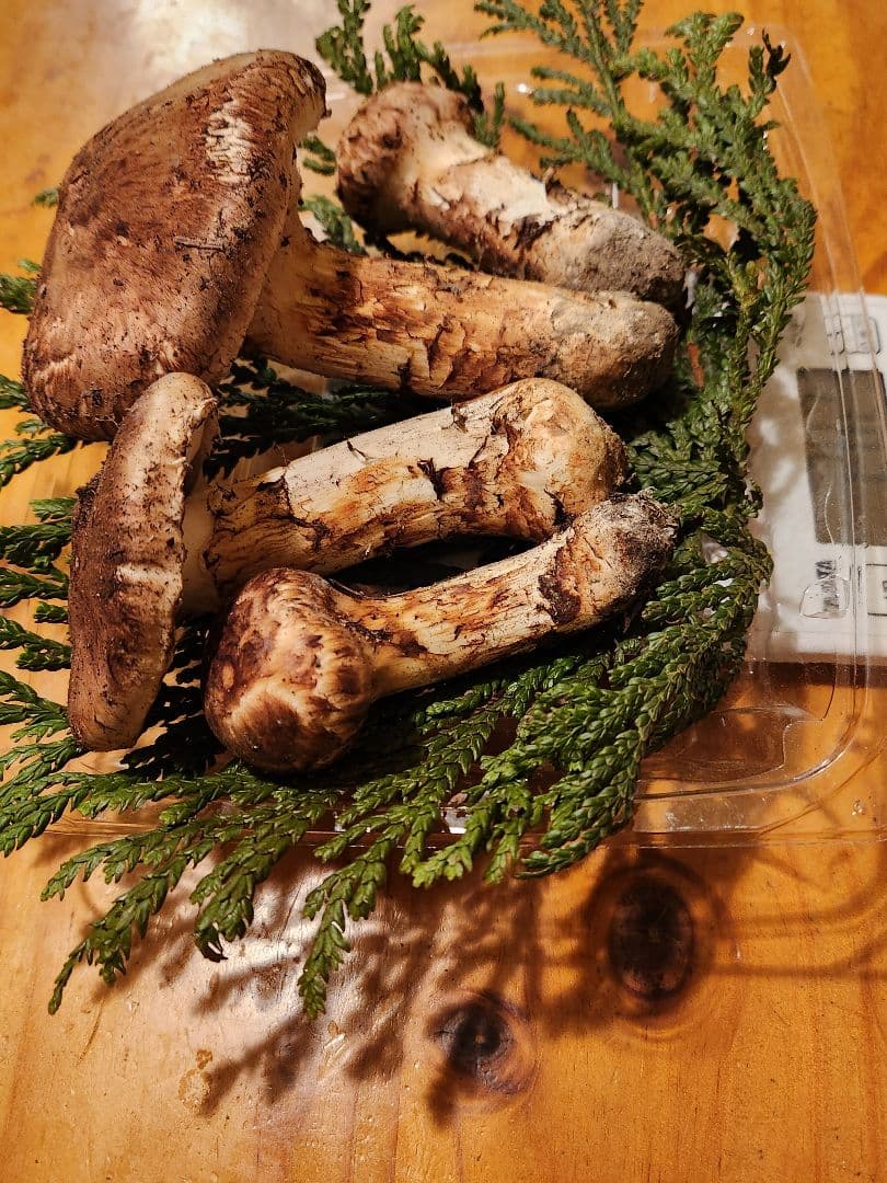 北海道産松茸　282g