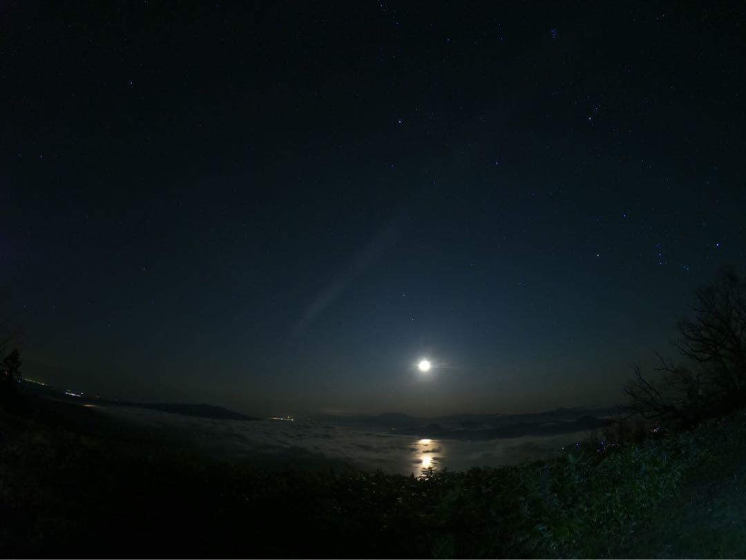 【テトちゃん専用】