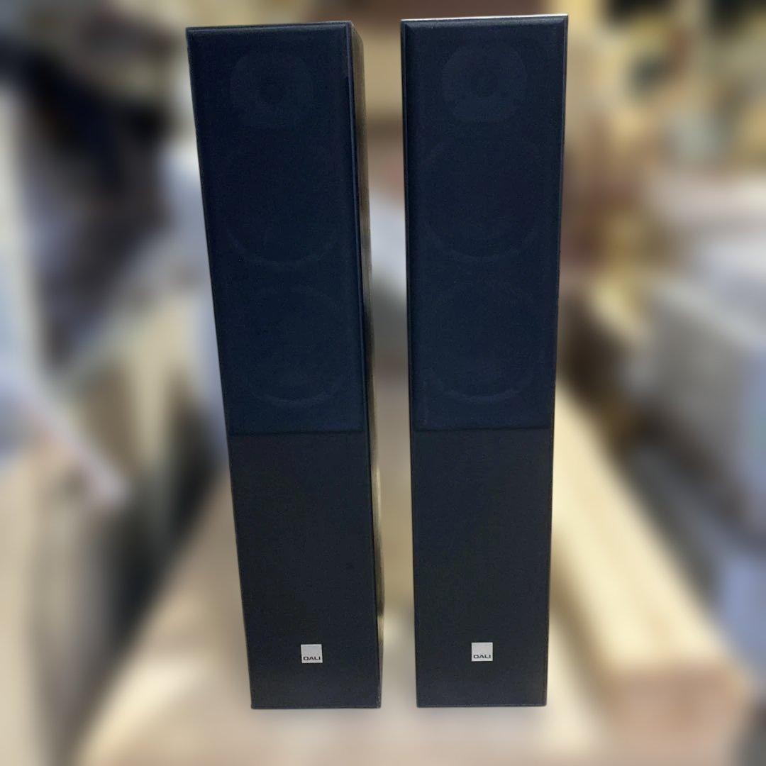 【美品】DALI ダリ　SPEKTOR 6 左右セット