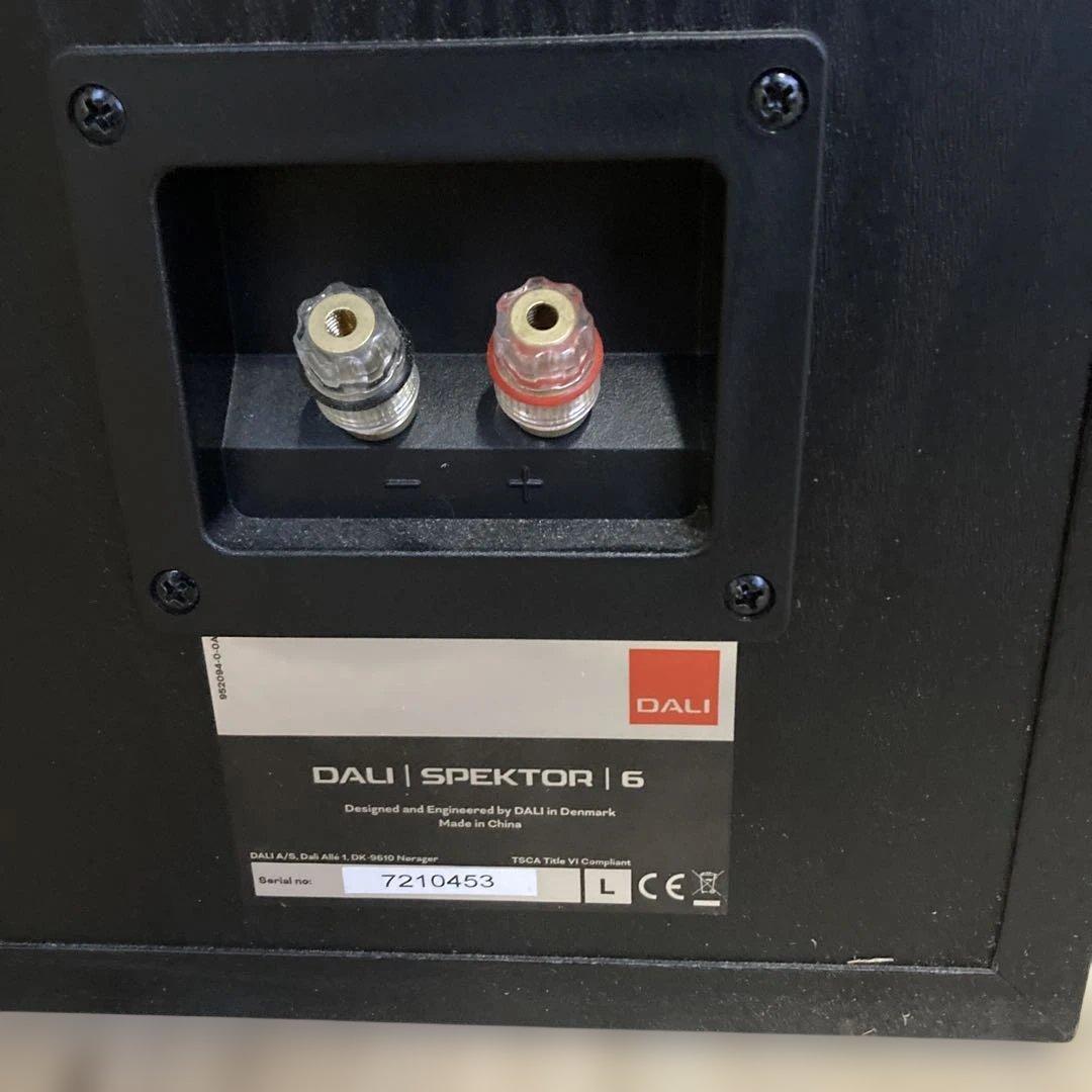 【美品】DALI ダリ　SPEKTOR 6 左右セット