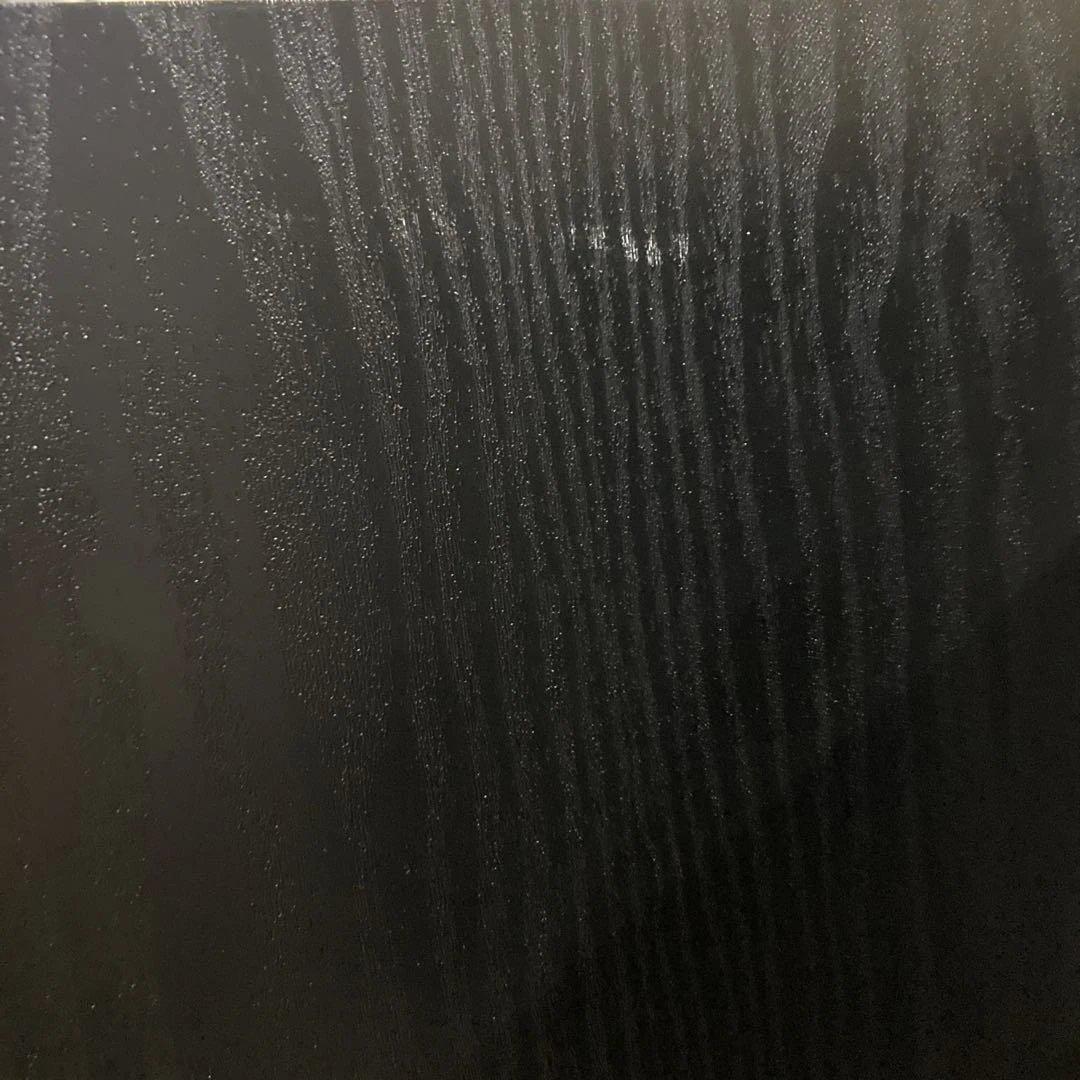 【美品】DALI ダリ　SPEKTOR 6 左右セット