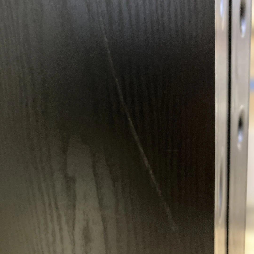 【美品】DALI ダリ　SPEKTOR 6 左右セット