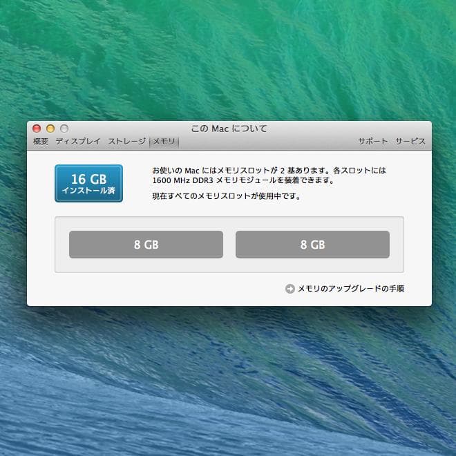 iMac 21.5インチ Late2013 16GB 1TB (Apple)