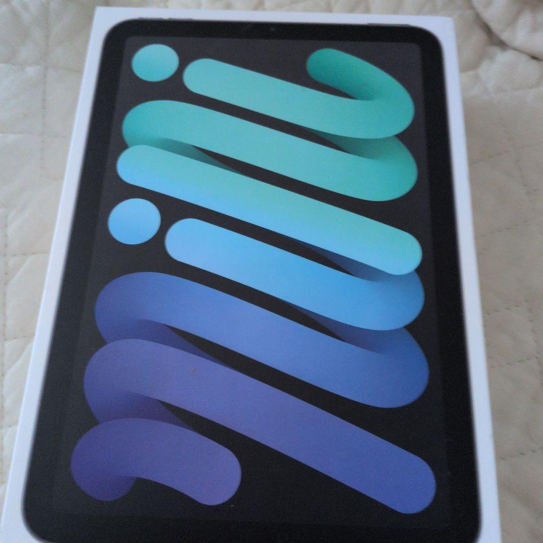 Apple iPad スペースグレー 本体