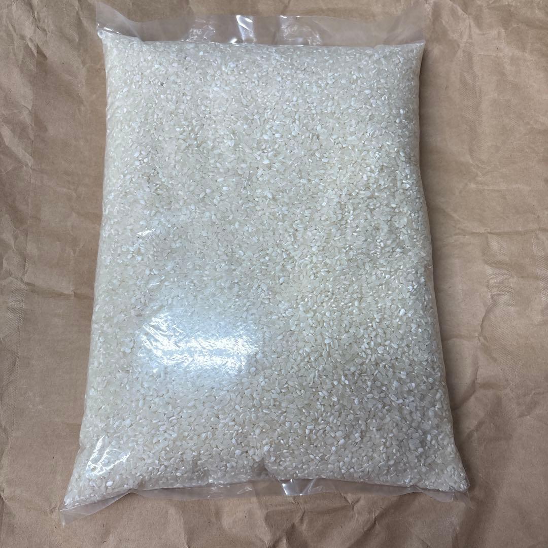 2025年度 新潟県産 中米 白米15キロ(2.5kg×6袋)