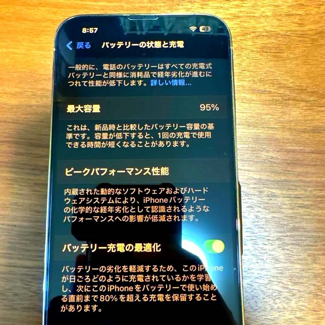 【美品】iPhone 13 Pro Max 256GB SIMフリー（おまけ付）