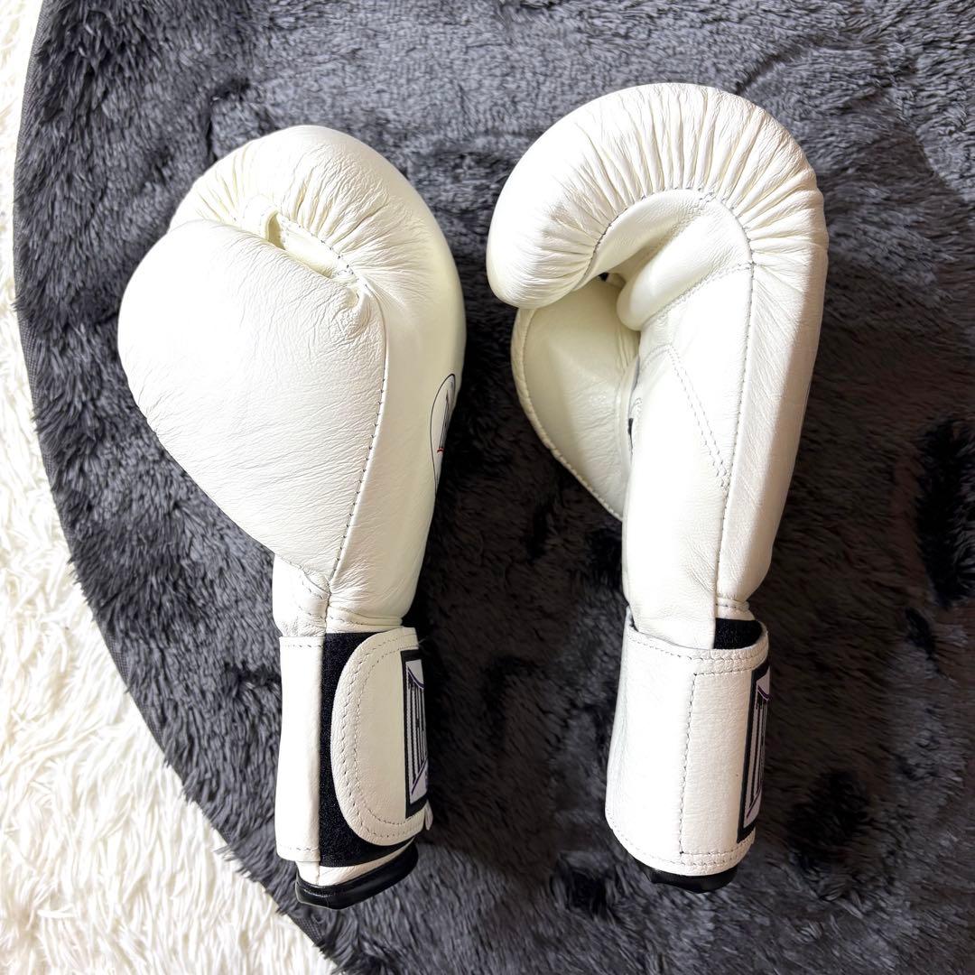 専用✨イサミ THAISMAI ボクシング グローブ 14oz BX-214