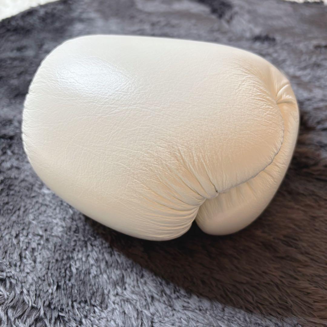 専用✨イサミ THAISMAI ボクシング グローブ 14oz BX-214