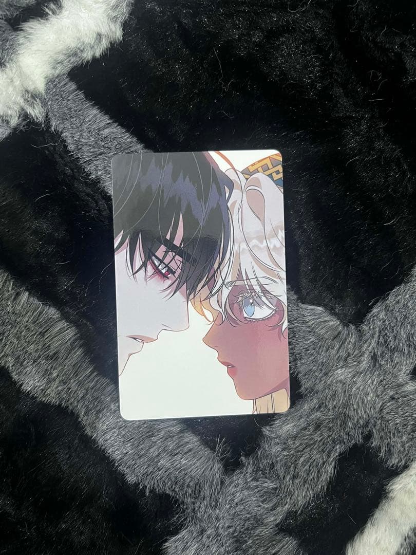 韓国BL Blossoms of the White Night 白夜の花道