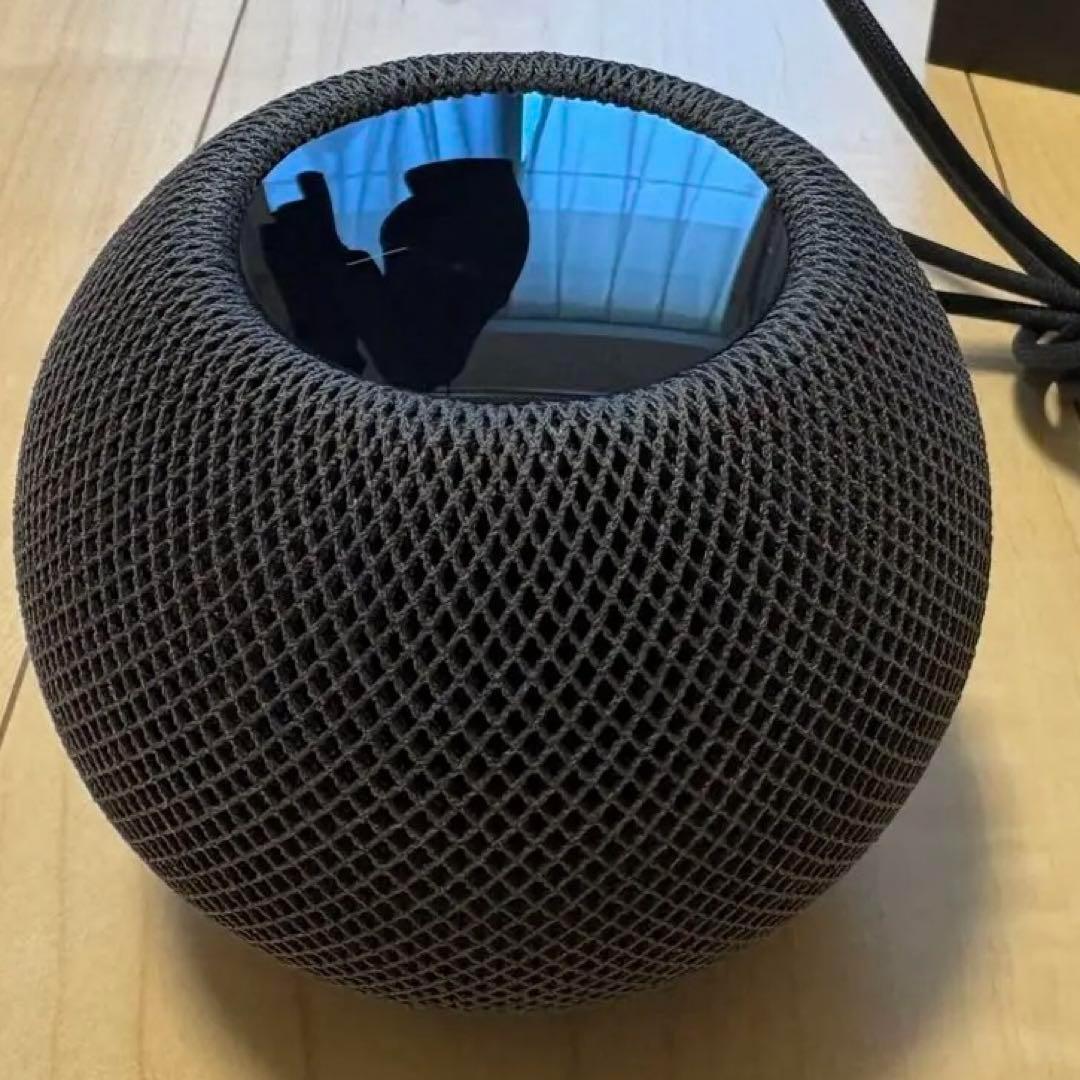 Pod mini スペースグレー　箱付き Apple