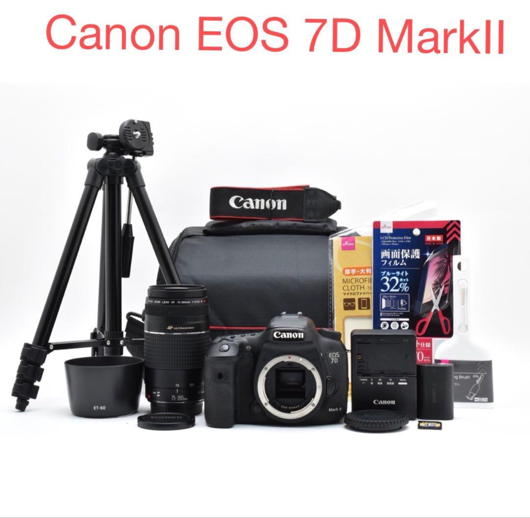 Canon EOS 7D MarkⅡ / EF 75-300mm F4-5.6