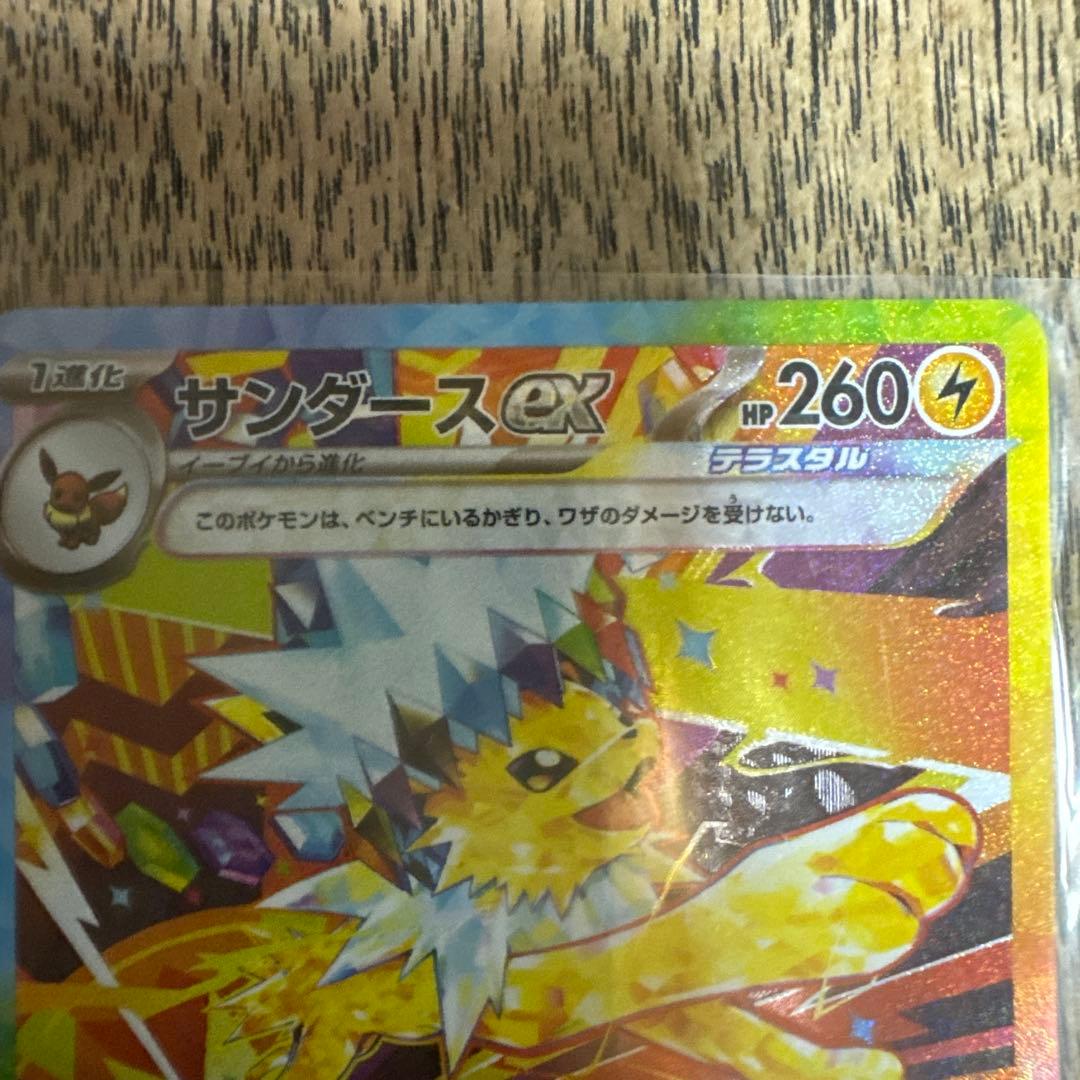 そら島太郎さま専用ページ エーフィ＆サンダースex