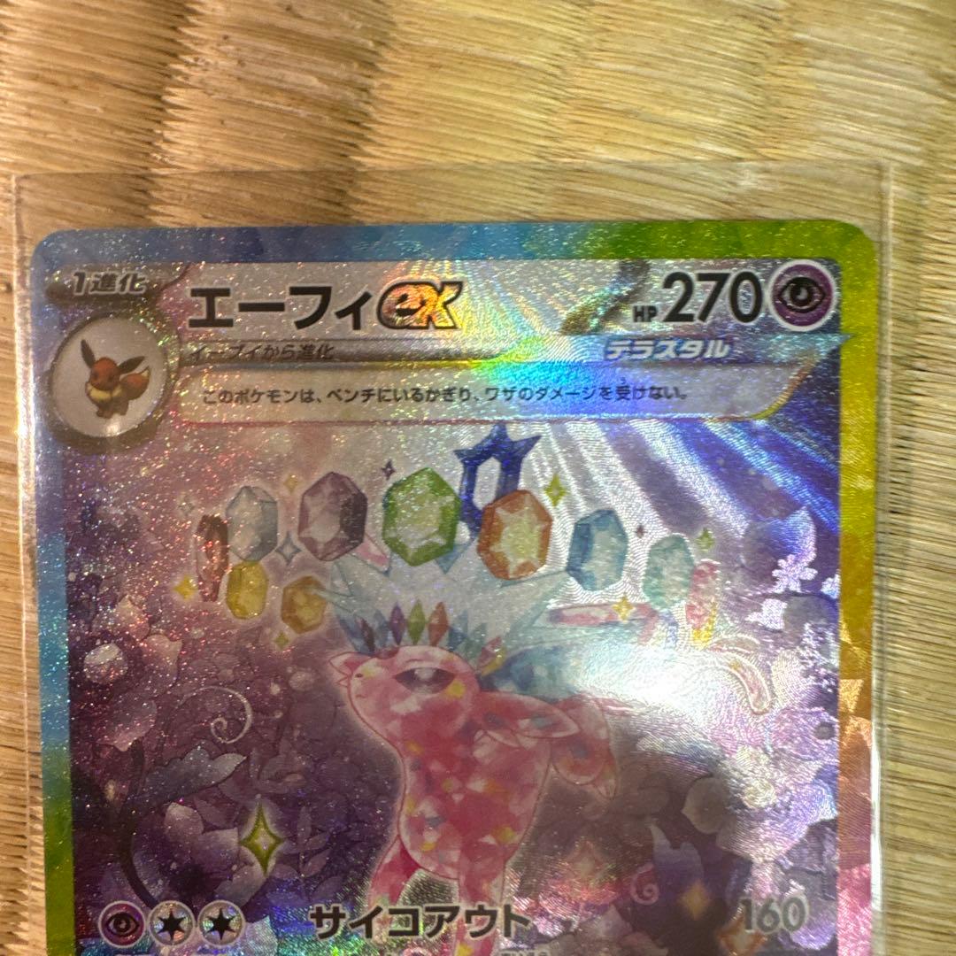 そら島太郎さま専用ページ エーフィ＆サンダースex