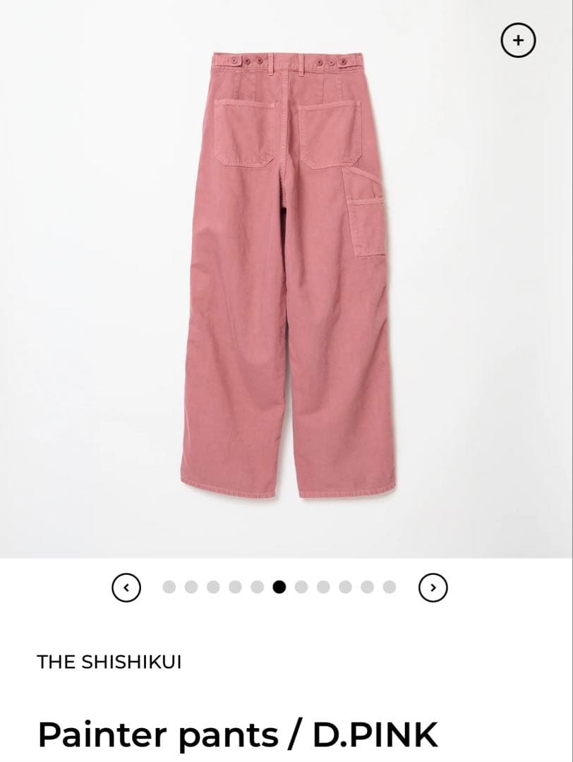 THE SHISHIKUI Painter pants シシクイ