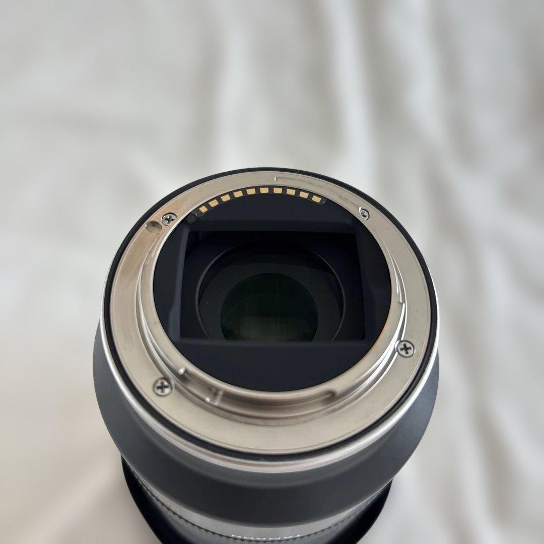 タムロン 17-70mm F2.8 Di III-A VC RXD SONY E