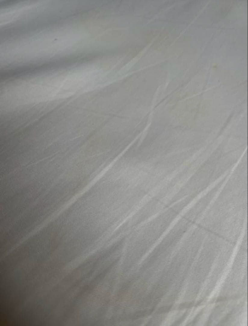 パルティール　シュアラインα