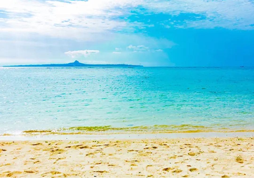 プリンター・複合機 shin