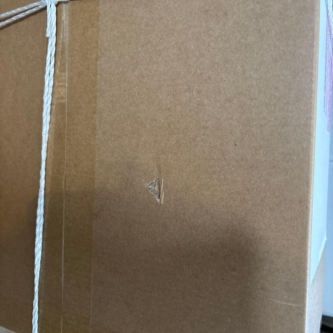 【新品・未開封】BALMUDA The Plate Pro ホットプレート