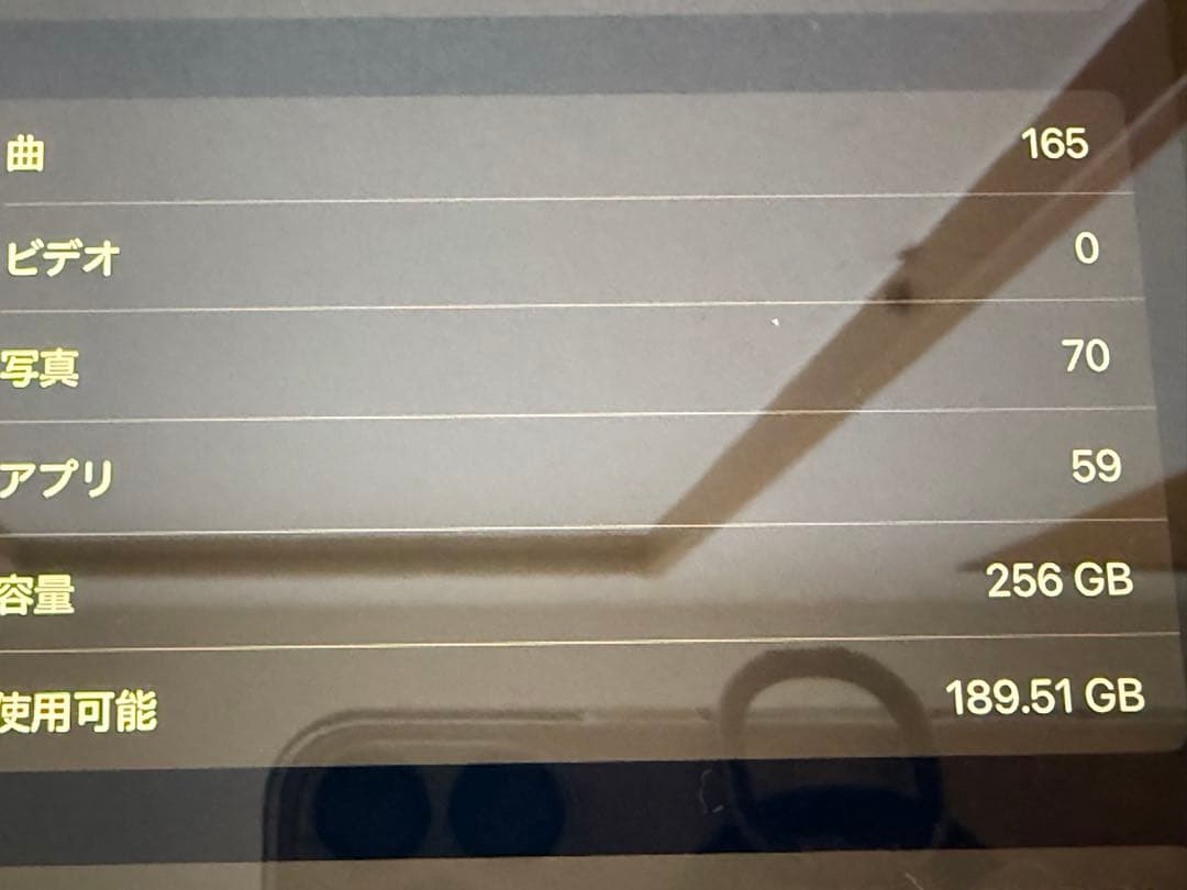 Apple iPad Pro 11インチ (第3世代) 256GB Wi-Fi