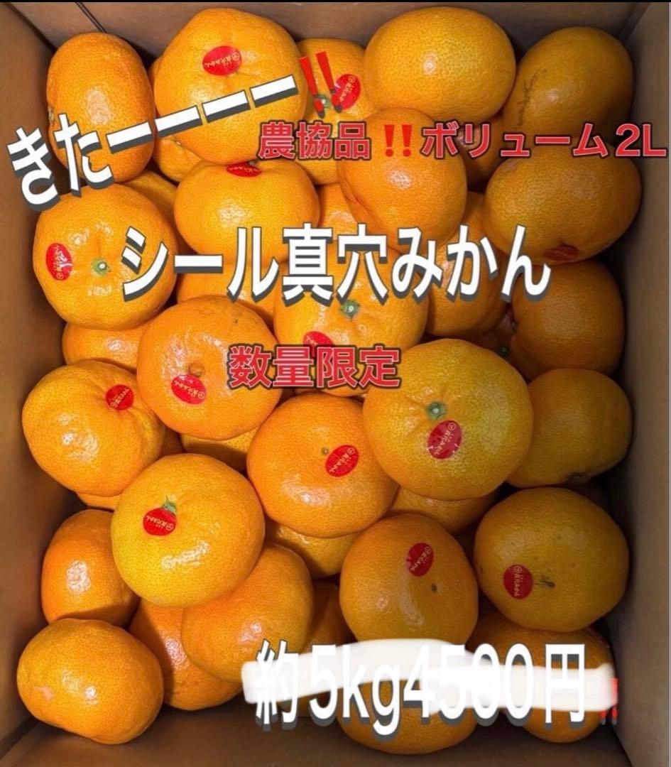 みゆみゆ様2箱‼️シール真穴みかんボリューム約10k