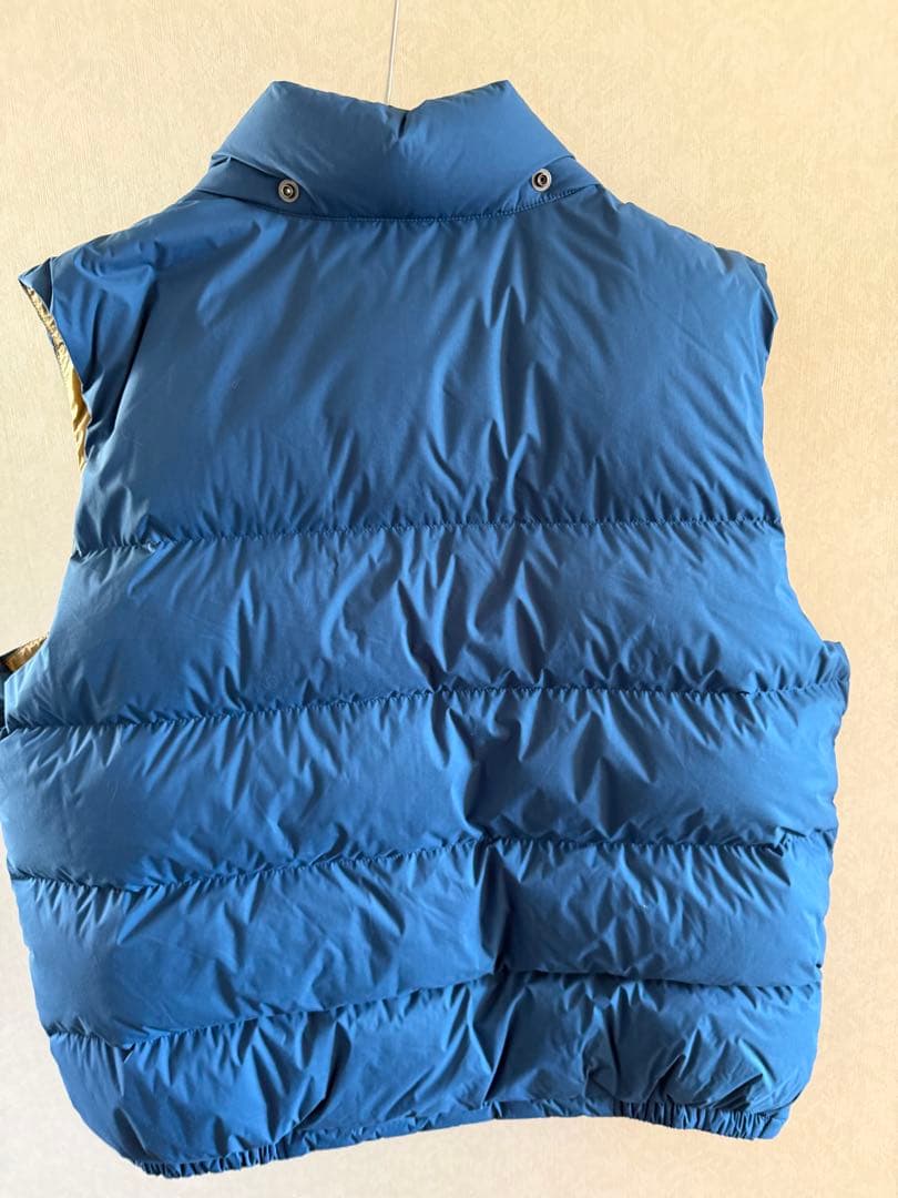 THE NORTH FACE ノースフェイス ダウンベスト メンズ L ブルー