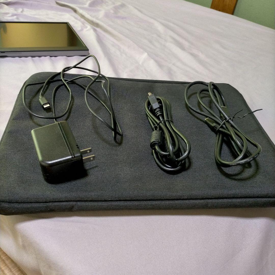 (訳あり) 15.6型モバイルディスプレイ EX-LDC161DBM