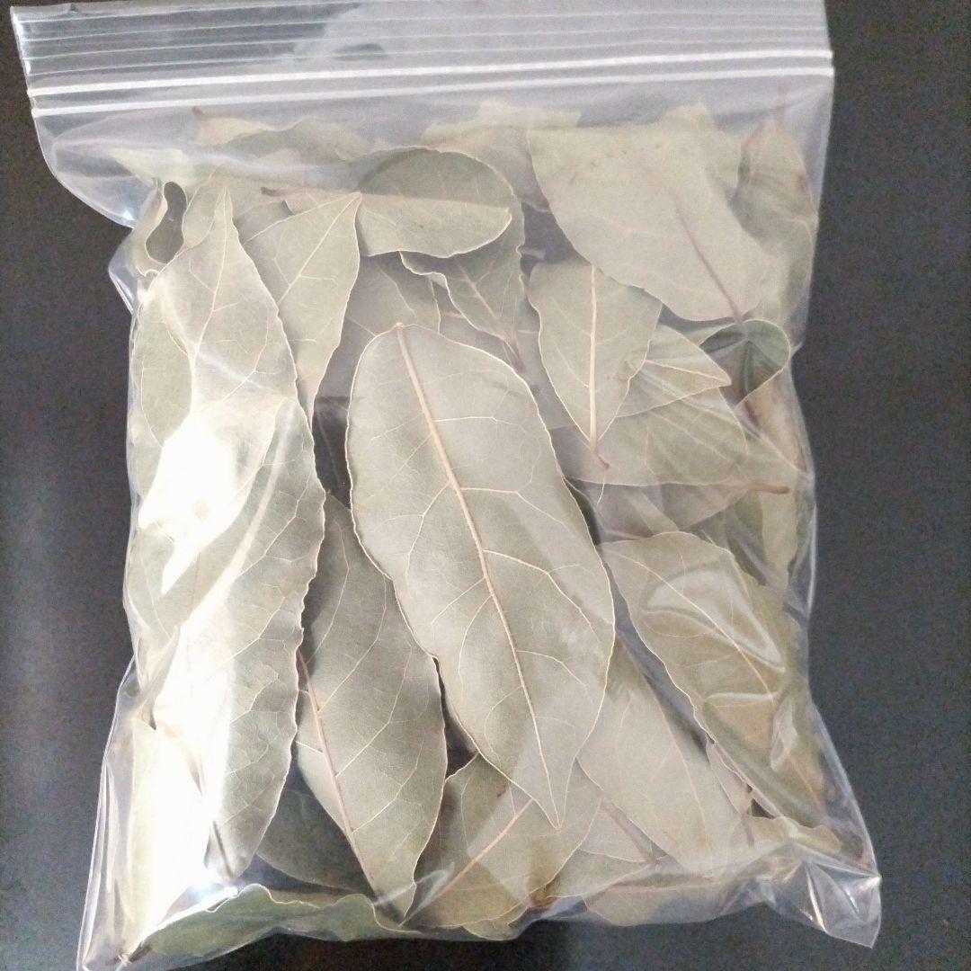 ローリエ　月桂樹　問い合わせ専用