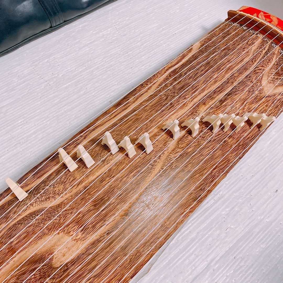 ゼンオン 文化琴 ケース付き　①