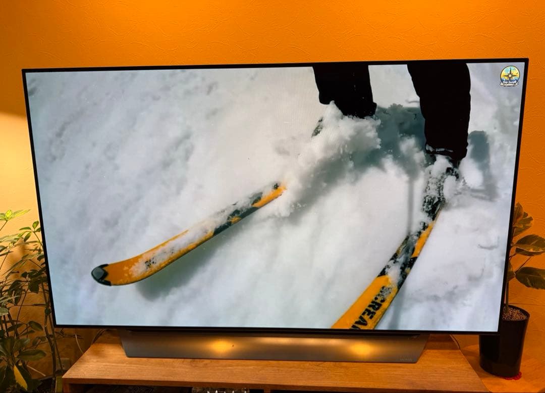 リュウ　美品 LG エルジー テレビ 有機ELテレビ