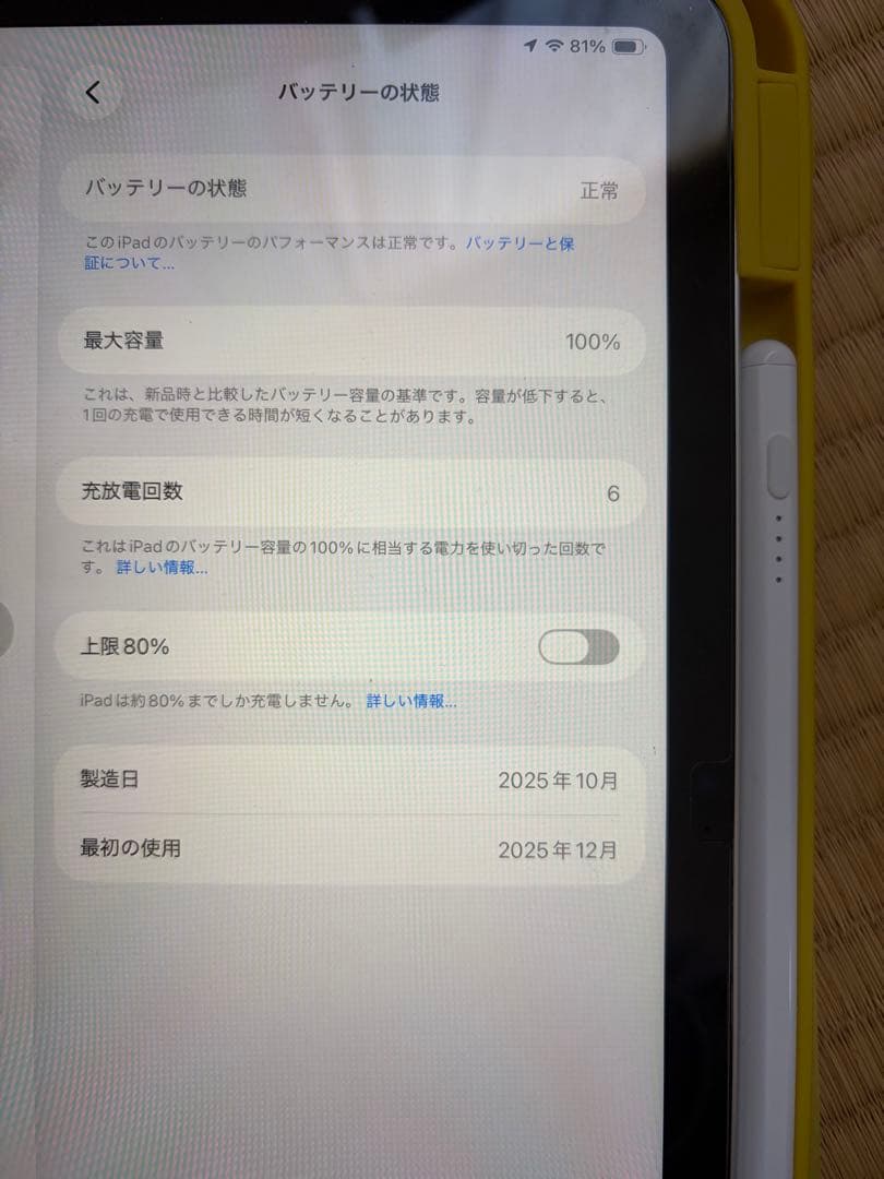 Apple iPad A16 128GB Wi-Fiモデル　タッチペン　カバー