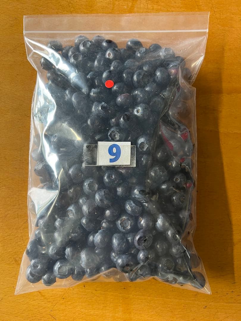 冷凍大粒ブルーベリー3kg